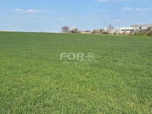 Teren intravilan de vanzare 1000 mp zona Aeroport Oradea - imagine 4