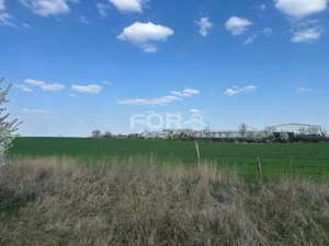 Teren intravilan de vanzare 1000 mp zona Aeroport Oradea - imagine 5