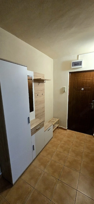 Apartament 1 cameră, totul nou, centrală proprie, zona Timocului, 330  - imagine 5