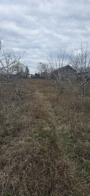 Casa plus teren 2000 mp Rubla, Valea Ramnicului, Ramnicu Sarat - imagine 8