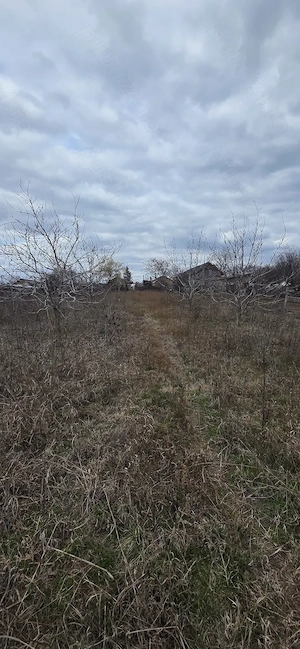 Casa plus teren 2000 mp Rubla, Valea Ramnicului, Ramnicu Sarat - imagine 7