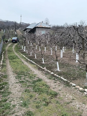 Casă de vânzare -locul unde "acasă" prinde contur 