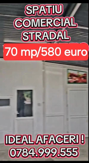 Sos.Alexandriei Spatiu Stradal 70mp Grup sanitar AC La Cheie Super Vad Super Trafic Super Pozitie - imagine 5