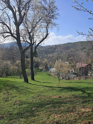 Vand teren  - imagine 3