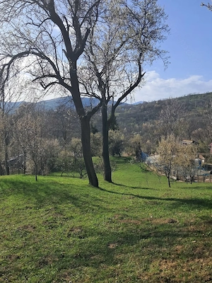 Vand teren  - imagine 5