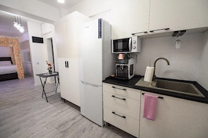 Închiriere Apartament Tematic - imagine 5