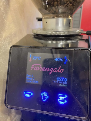 Rasnita de cafea profesionala Fiorenzato F64 EVO