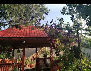 Vând casa Cataloi  - imagine 5