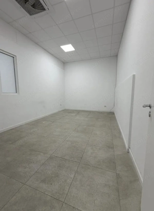 Zona Theodor Pallady sp 156 mp închiriat - imagine 2