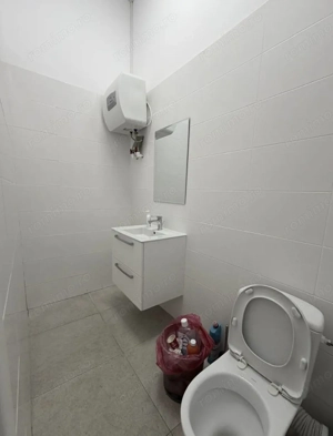 Zona Theodor Pallady sp 156 mp închiriat - imagine 6