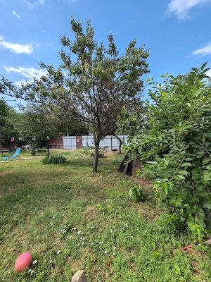 Casa demolabila , curte 579 mp cu toate utilitatiile - imagine 4