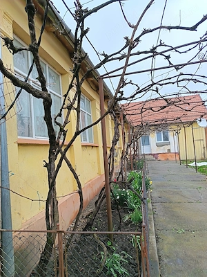 Proprietar vând casă cu grădină 