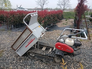 Vând Mini Dumper Profesional EFCO TN 4500   Calitate Italiană   Bena Extensibilă - imagine 4