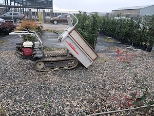 Vând Mini Dumper Profesional EFCO TN 4500   Calitate Italiană   Bena Extensibilă - imagine 5