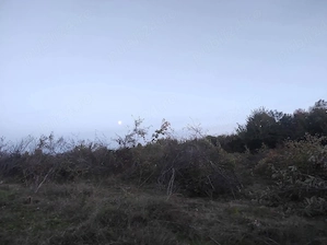 doboram pomi la inaltime 