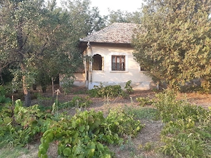 Se vinde,Locuință +Teren intravilan  - imagine 3