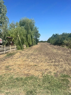 Teren intravilan 4800mp, Salciile, Prahova