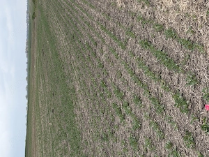 Teren arabil Vasilati - imagine 3