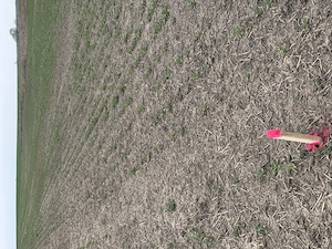 Teren arabil Vasilati - imagine 4