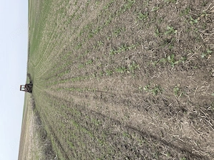 Teren arabil Vasilati