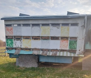 Vând paviliona apicol și familii de albine