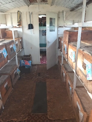 Vând paviliona apicol și familii de albine - imagine 2