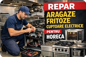 Reparati bucatari profesionale