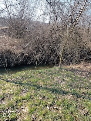 Vând teren intravilan comuna Borșa, Cluj  - imagine 3