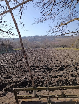 Vând teren intravilan comuna Borșa, Cluj  - imagine 2