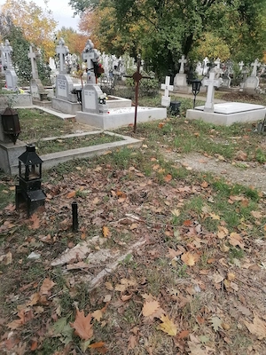 Concesionez loc de veci 