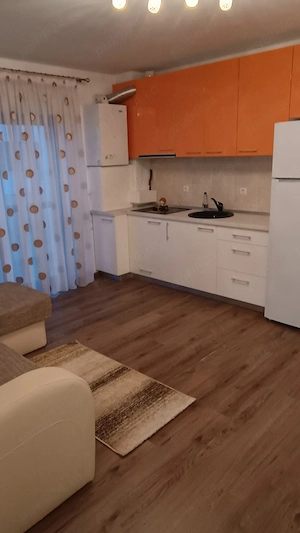 Apartament 2 camere mobilat utilat Doamna Stanca  - imagine 8
