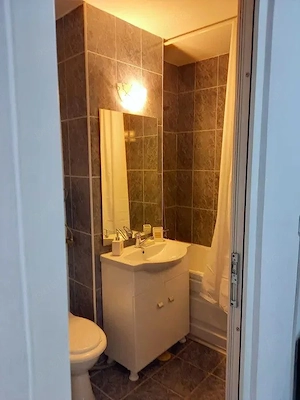 Dristor - Mihai Bravu - imagine 4