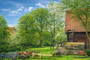 FILM! 4.900mp teren intravilan, cu casa, in Tufalau, Covasna - imagine 2