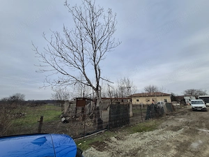 Vând teren în Pruni, IF, la 30 min de București. - imagine 4
