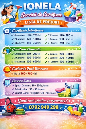 servicii curățenie rapide 