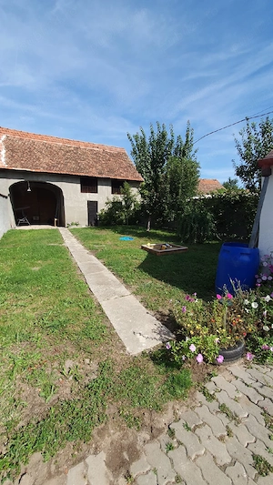 vand sau schimb cu ap sau gars - imagine 7