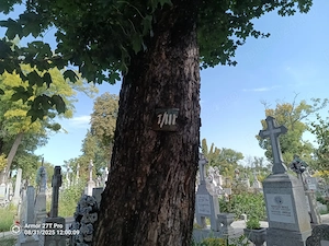 Loc de veci cu cripta in Cimitir Eternitatea Iasi - imagine 2