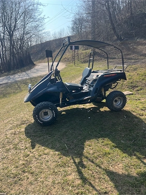 Buggy   Go-Kart "Tarantula 125X-4"   Stare Perfectă - imagine 2