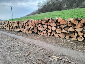 Vand lemne de foc esenta tare carpen si stejar 