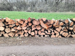 vand lemne de foc esenta tare transport la domiciliu 