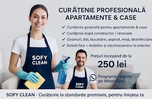Curățenie la domiciliu Sibiu  - imagine 4
