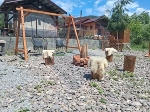 Refugiu în natură, Cătrușa Covasna – cabană cu potențial turistic - imagine 6