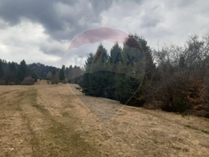 Teren Rasnov/ Soseaua Predealului DN73B - imagine 7