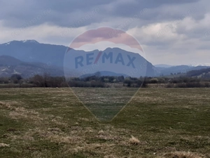 Teren 10,000mp Rasnov / Drumul Panicel - imagine 8