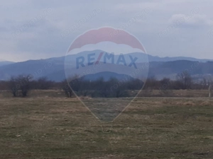 Teren 10,000mp Rasnov / Drumul Panicel - imagine 4