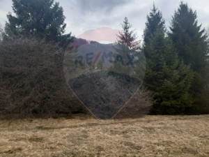 Teren Rasnov/ Soseaua Predealului DN73B - imagine 6