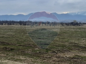 Teren 10,000mp Rasnov / Drumul Panicel - imagine 6