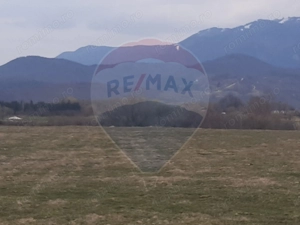 Teren 10,000mp Rasnov / Drumul Panicel