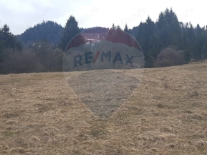 Teren Rasnov/ Soseaua Predealului DN73B - imagine 4