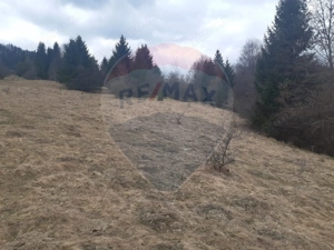 Teren Rasnov/ Soseaua Predealului DN73B - imagine 3